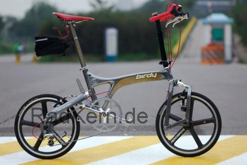 Birdy Monocoque technische daten